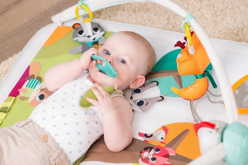 Gimnastyka dla bobasa z pałąkami - Leśna Kraina / Tiny Love
