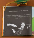 Dinozaury. Podświetl i Odkryj / Wydawnictwo Api Papi