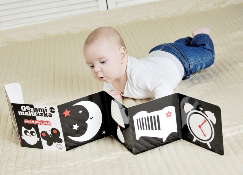 Oczami Maluszka kontrastowa książeczka Harmonijka / Sierra Madre