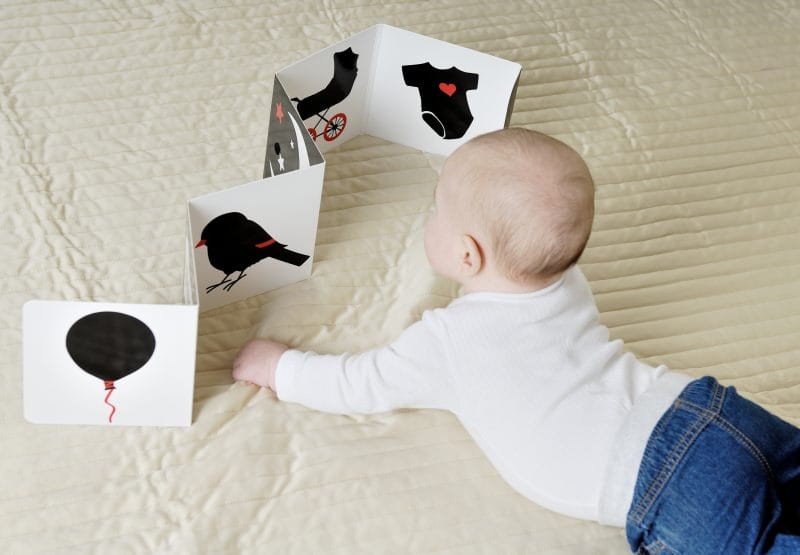 Oczami Maluszka kontrastowa książeczka Harmonijka / Sierra Madre