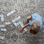 Domino Zoo / Little Dutch