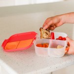 Mini lunchbox - Passion Splash / b.box