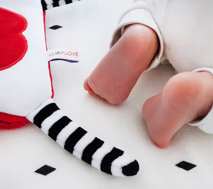 Super Zabawka MrB - przytulanka/termofor na kolkę, kontrastowe kolory / Lullalove