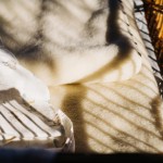 Podkład na materac z wełny MERINO, rozmiary / Layette