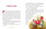 Najpiekniejsze baśnie -Andersen Hans Christian /Wilga