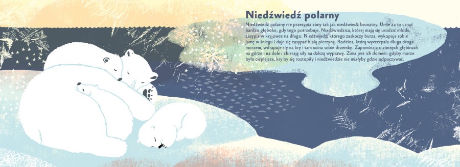 Jak zwierzęta śpią? / Wydawnictwo Muchomor