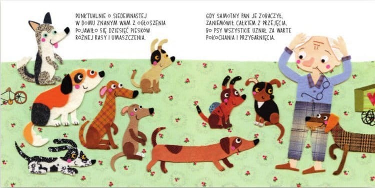 Liczypieski / Wydawnictwo Nasza Księgarnia