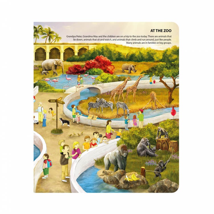 Książka Język angielski /Albi