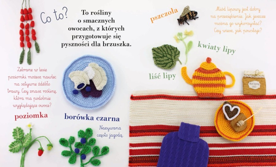 Roślinkowa książka / Nasza Księgarnia