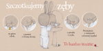 Zajączek u dentysty / Wydawnictwo Kinderkulka