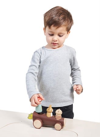 Drewniana leśna taksówka / Tender Leaf Toys