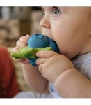 Gryzak Borówka Jerry / Oli and Carol