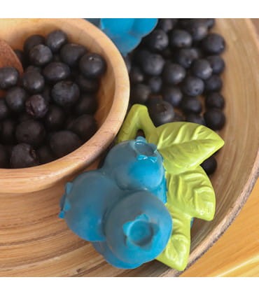 Gryzak Borówka Jerry / Oli and Carol