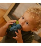 Gryzak Borówka Jerry / Oli and Carol