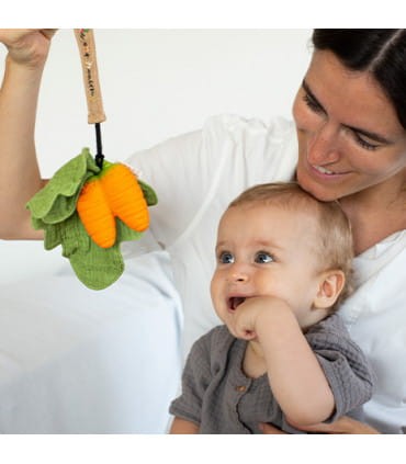 cathy-the-carrot-mini-doudou-teether (5).jpg