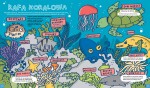 Totalnie wszystko o rekinach