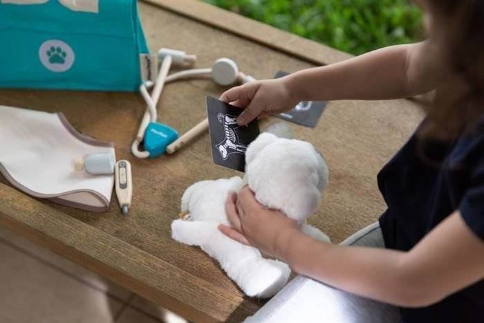 Mały weterynarz, zabawka dla dzieci, Seria Pretend Play, Plan Toys