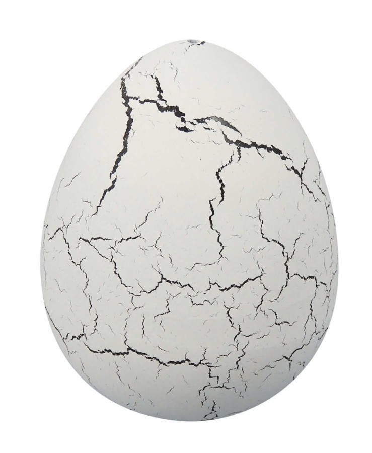 Magiczne jajko dinozaura / Buki D6G