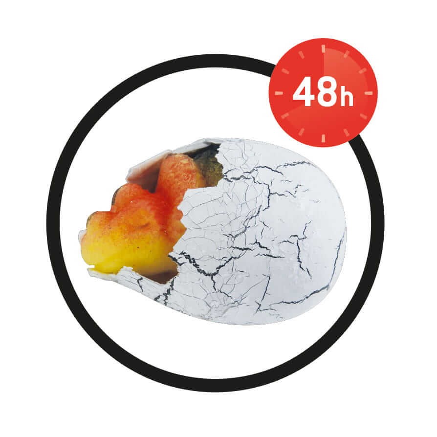 Magiczne jajko dinozaura / Buki D6G