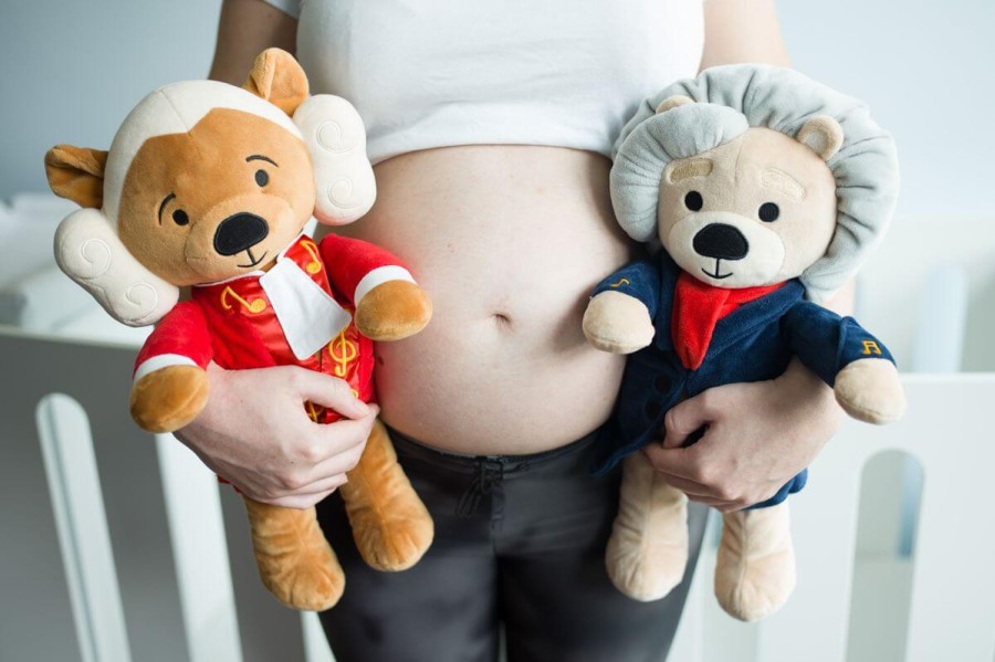 Beethoven - Miś Ludwig muzyczna zabawka dla dzieci