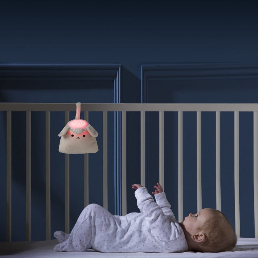 Projektor z pozytywką Little Lumies PurFlo - Bird