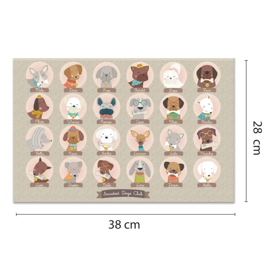 Zgadnij kim jestem / Gra Apli Kids