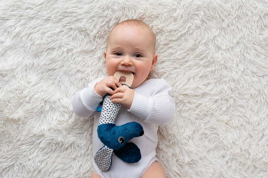 Jamiś - piszczek z gryzakiem granatowy / Mom's Care