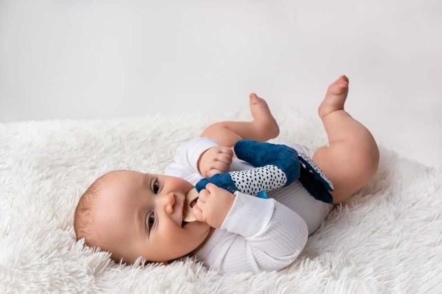 Jamiś - piszczek z gryzakiem granatowy / Mom's Care