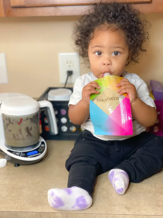 Baby Brezza Food Maker Deluxe BRZ00141