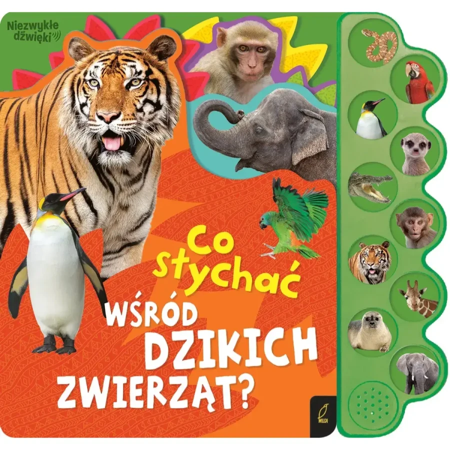 Co słychać wśród dzikich zwierzą? / Wilga