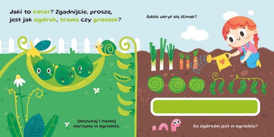 Kolory. Zgadywanki, rymowanki / Wilga