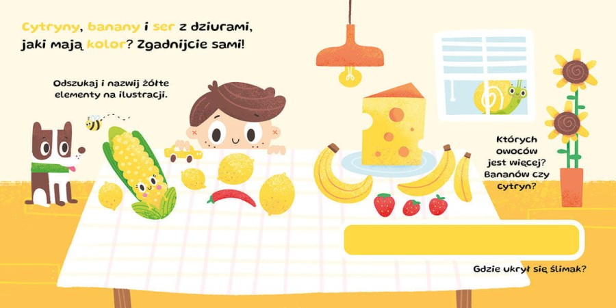 Kolory. Zgadywanki, rymowanki / Wilga