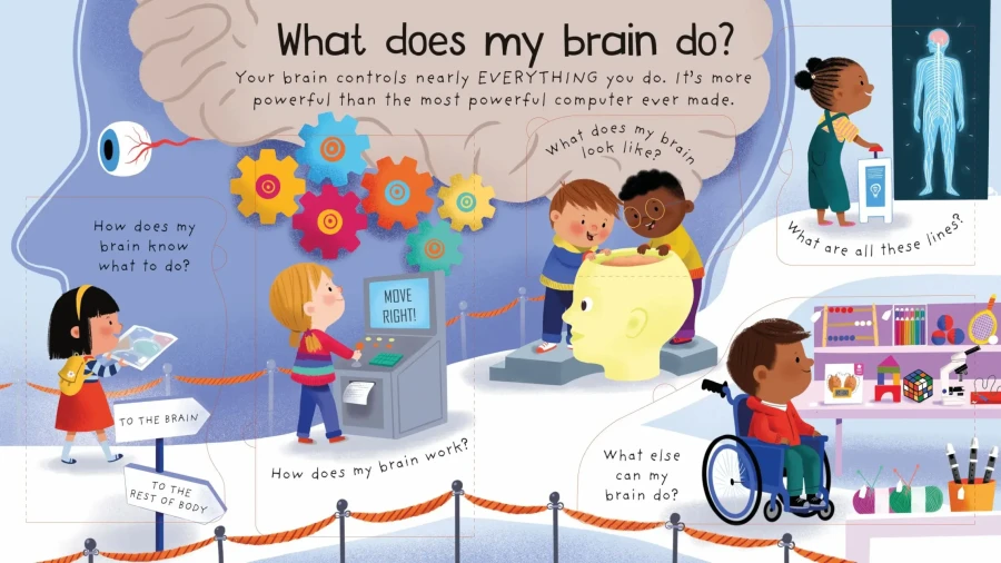 Lift-the-flap first questions&answers. How does my body work? / Wydawnictwo Usborne