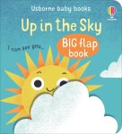 Up In The Sky / Wydawnictwo Usborne
