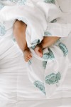 Otulacz muślinowy Paisley 4szt / aden+anais
