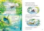 Młodzi przyrodnicy. Jak nie dać się zjeść / Wilga