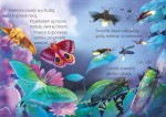 Młodzi przyrodnicy. Jak nie dać się zjeść / Wilga