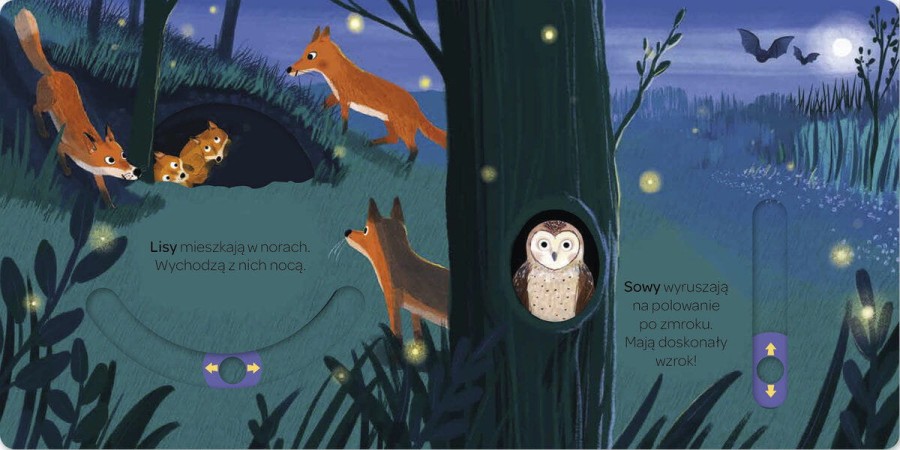 Młodzi przyrodnicy. W lesie / Wilga