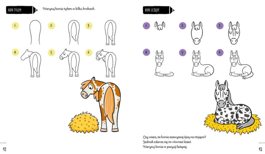 Rysowanie krok po kroku. Konie i kucyki / Wydawnictwo Wilga