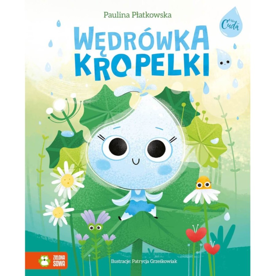 Wędrówka kropelki / Wydawnictwo Zielona Sowa