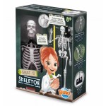 Szkielet człowieka - 45 cm / Buki 2180