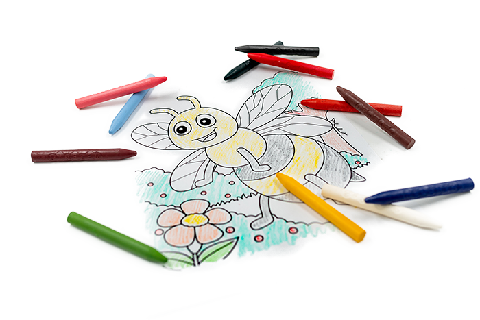 Kredki Medenka CLASSIC z wosku pszczelego 3+, 100% naturalne