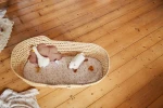 Pozytywka z głośnikiem Bluetooth® Tiny Farmer - Sheep / Lassig