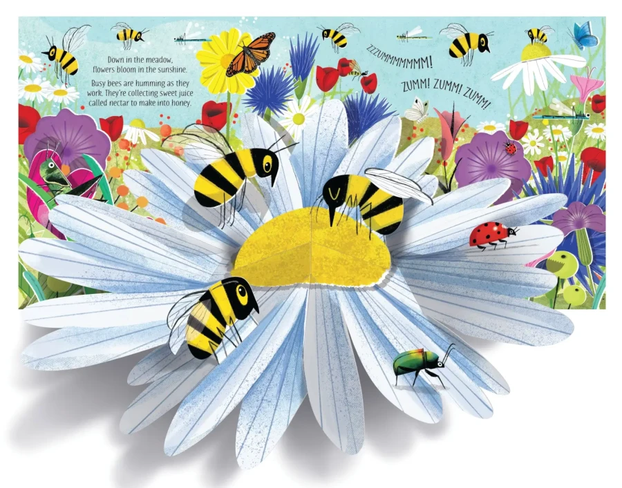 Pop-Up Nature / Usborne