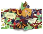Pop-Up Nature / Usborne
