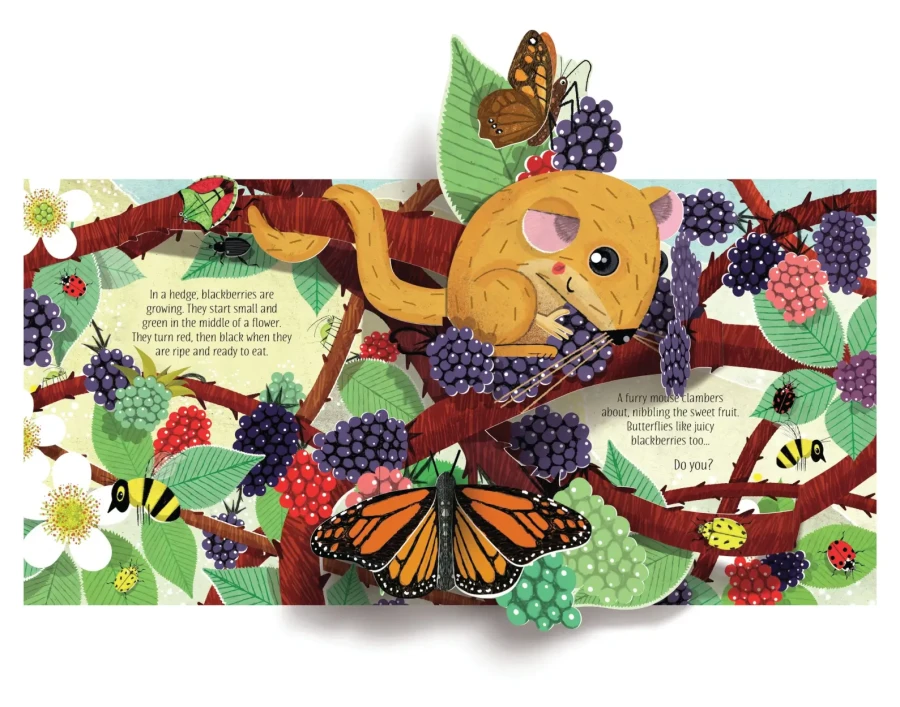 Pop-Up Nature / Usborne