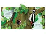 Pop-Up Nature / Usborne