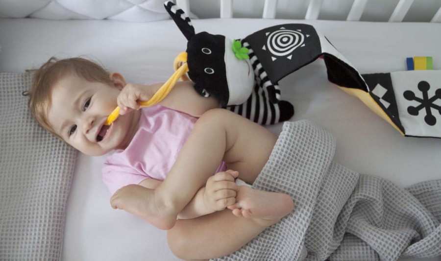 Książeczka do łóżeczka Króweczka / Mom's Care