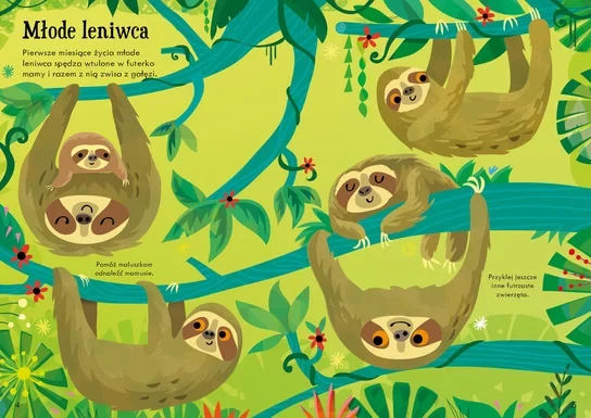 Lubię naklejać. Leniwce / Wydawnictwo Wilga