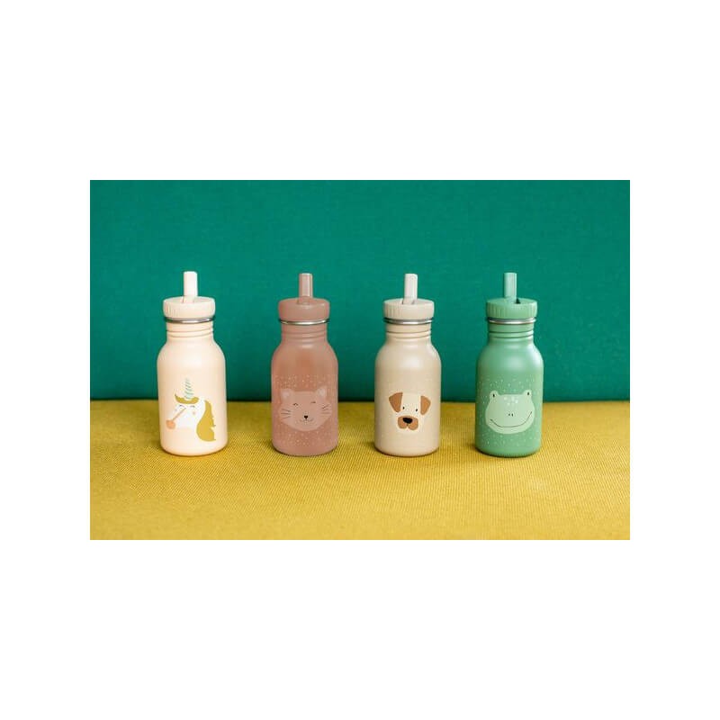 Kot butelka-bidon 350ml / Trixie